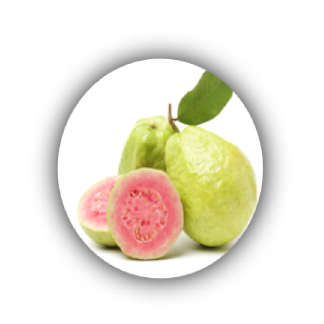 Ovocný extrakt z Guavy - ingredience k-pak produkty JOICO