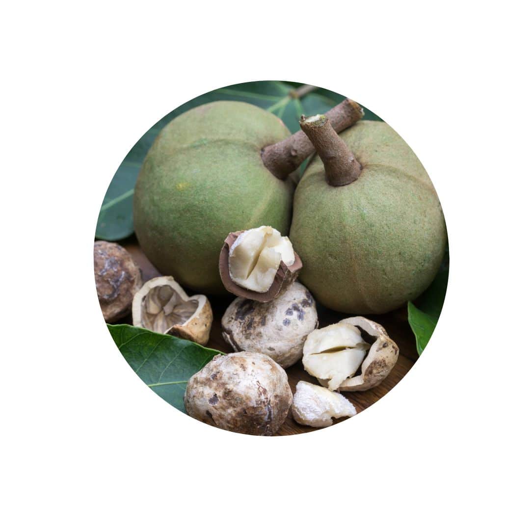 Olej z Kukui ořechu - symbol