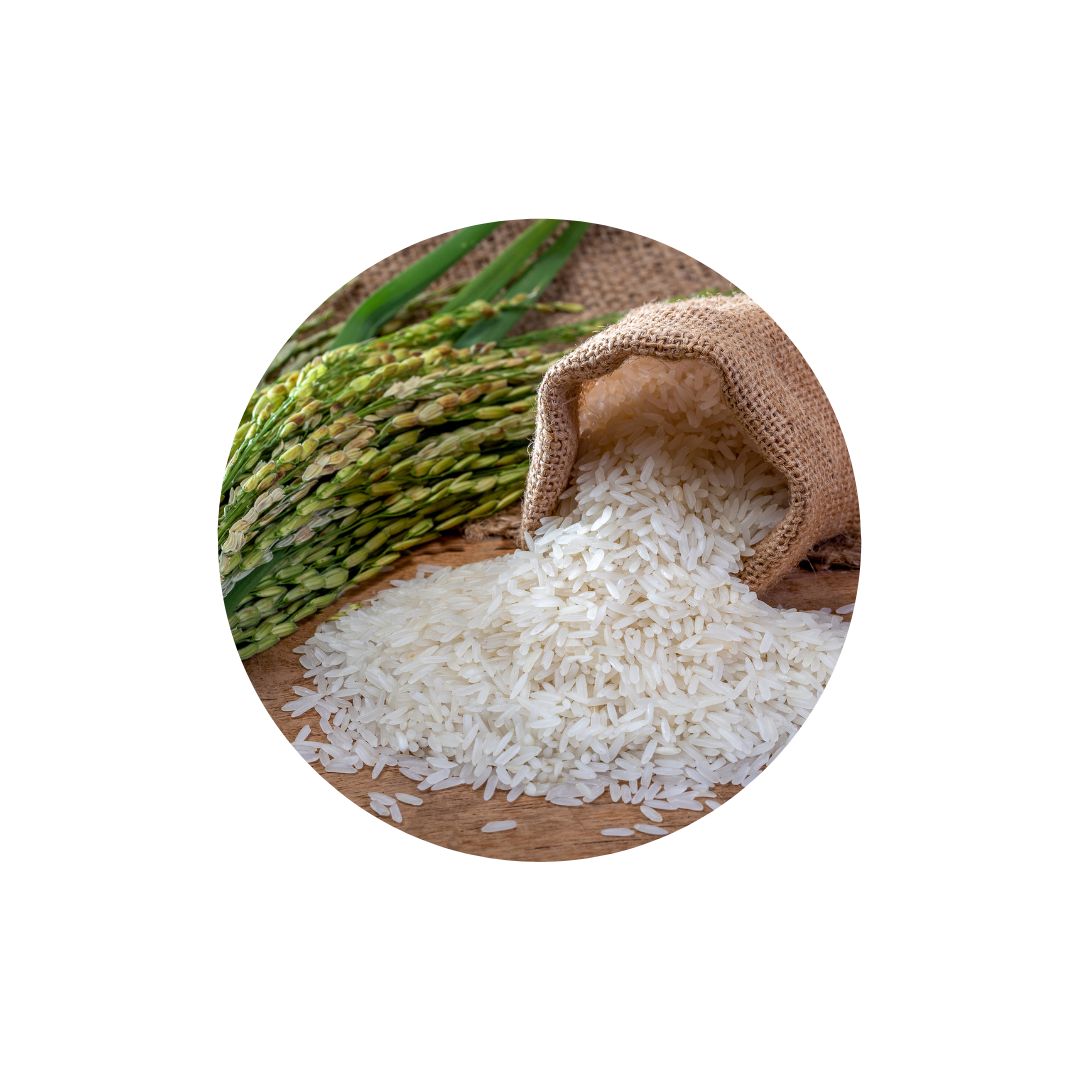 Rýžový protein - symbol